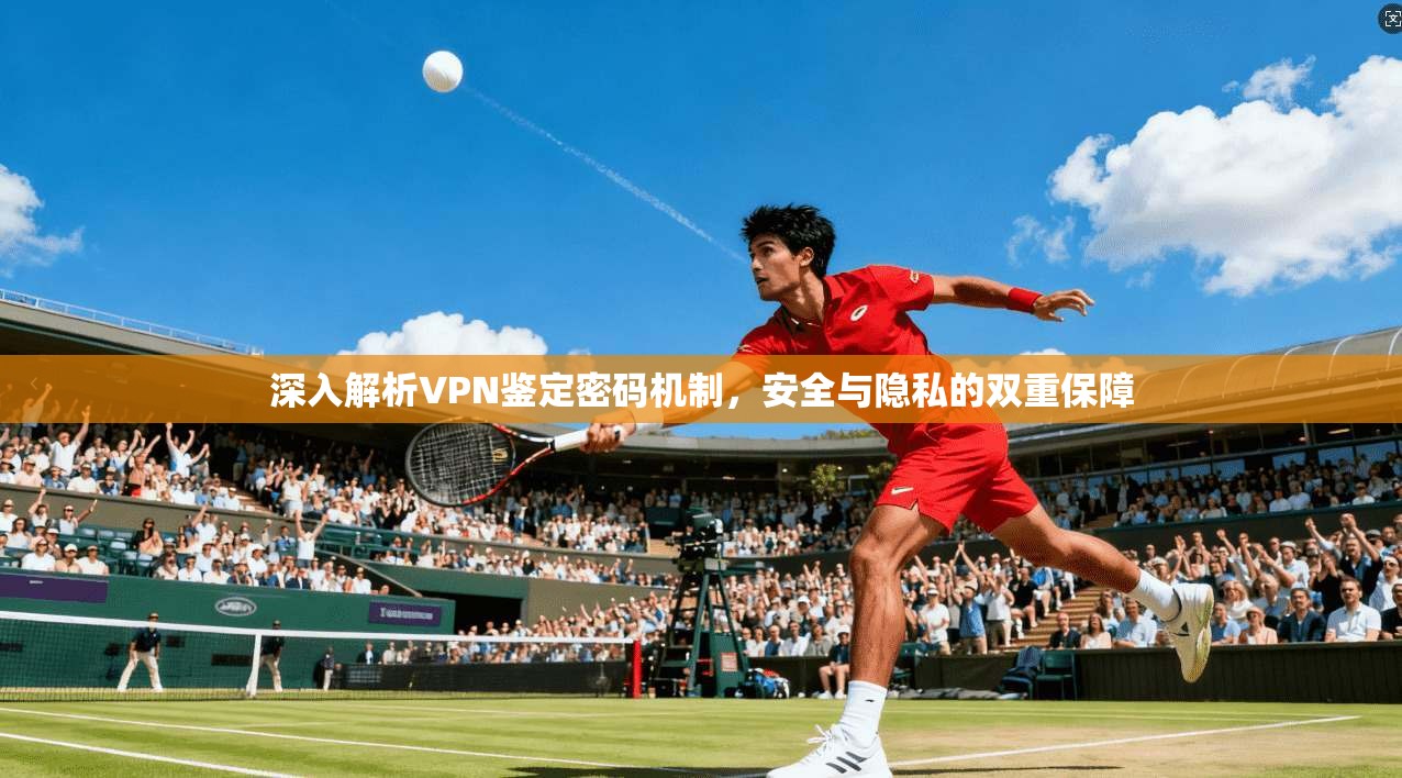 深入解析VPN鉴定密码机制，安全与隐私的双重保障