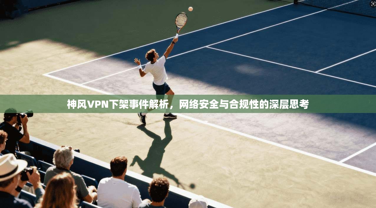神风VPN下架事件解析，网络安全与合规性的深层思考