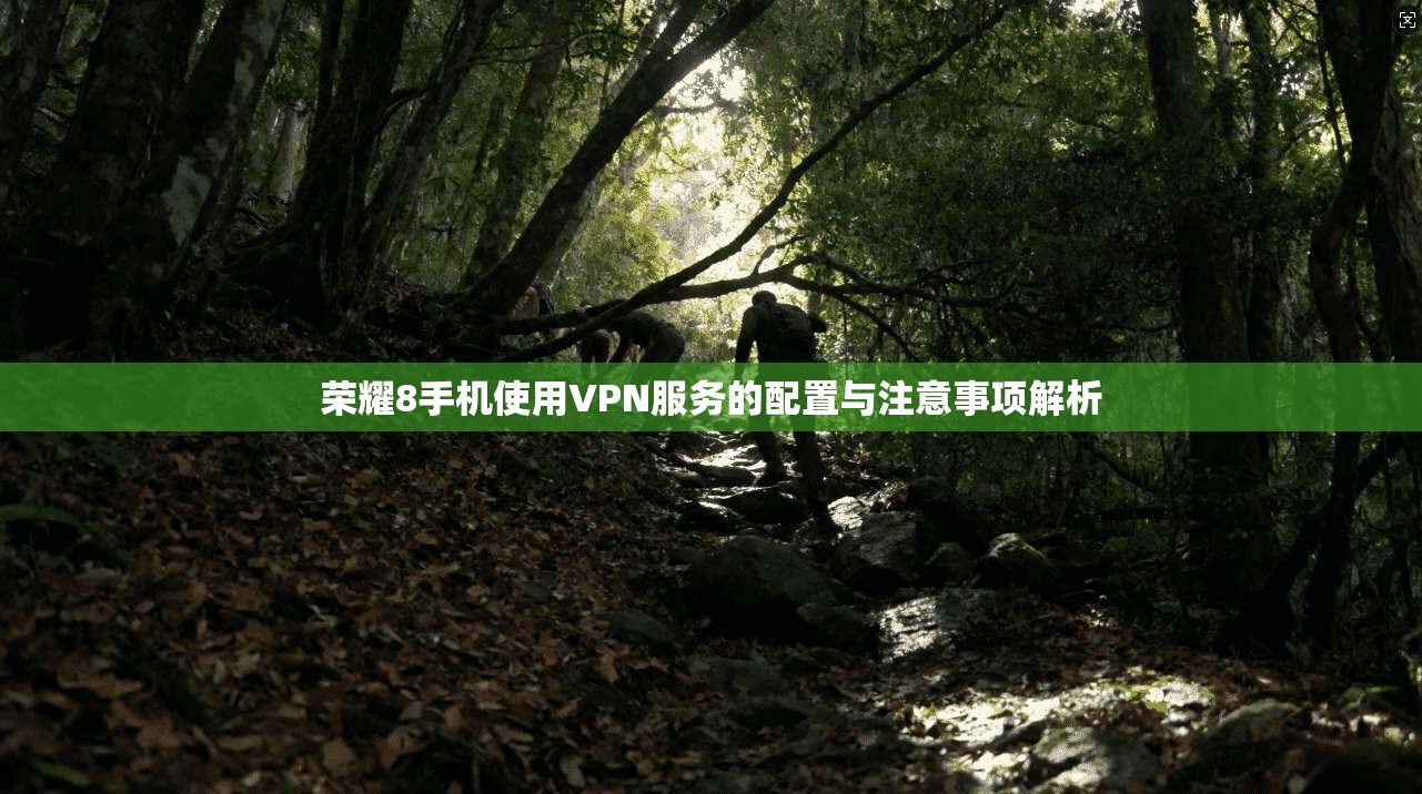 荣耀8手机使用VPN服务的配置与注意事项解析