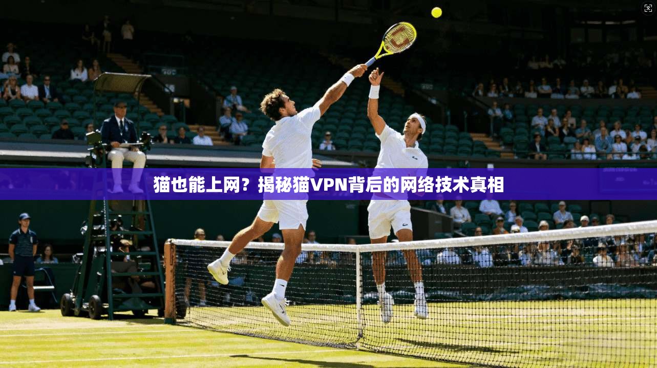 猫也能上网？揭秘猫VPN背后的网络技术真相