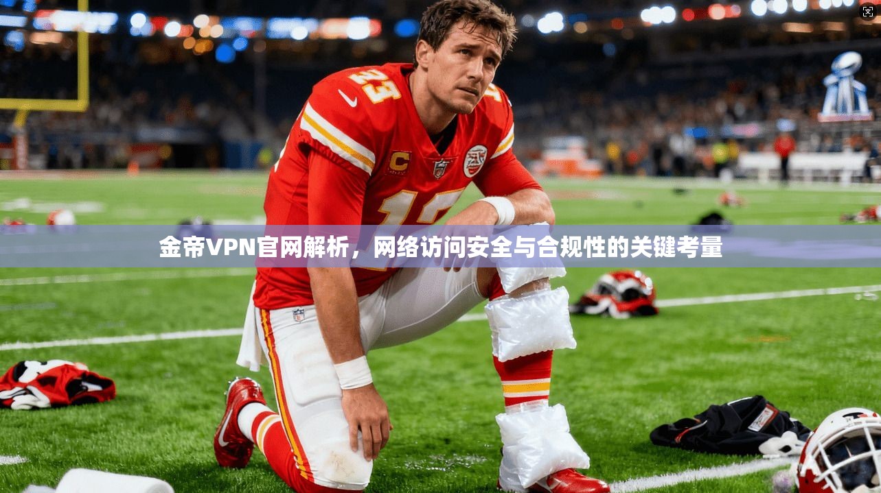 金帝VPN官网解析，网络访问安全与合规性的关键考量