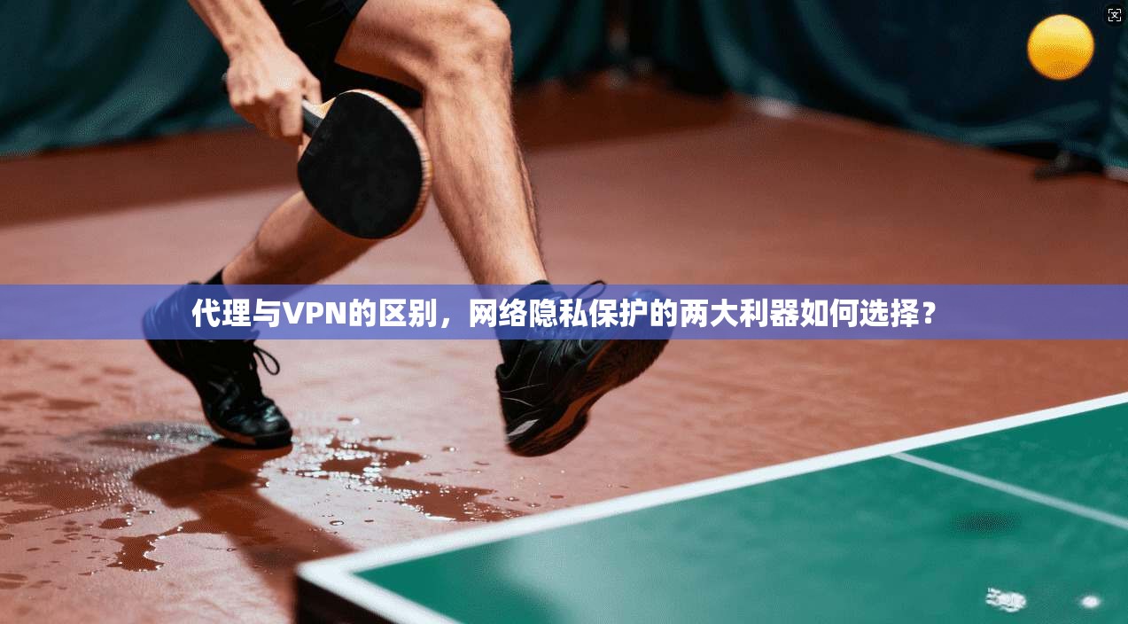 代理与VPN的区别,网络隐私保护的两大利器如何选择? 代理与VPN的区别,网络隐私保护的两大利器如何选择?