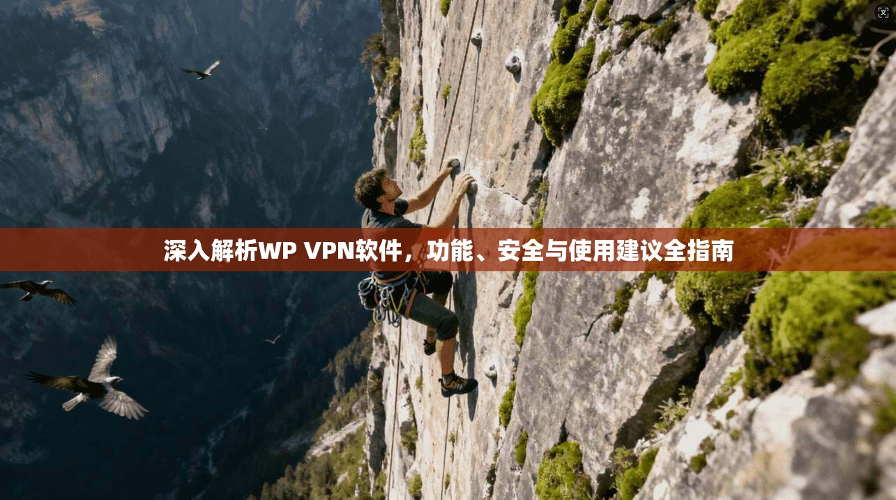深入解析WP VPN软件，功能、安全与使用建议全指南