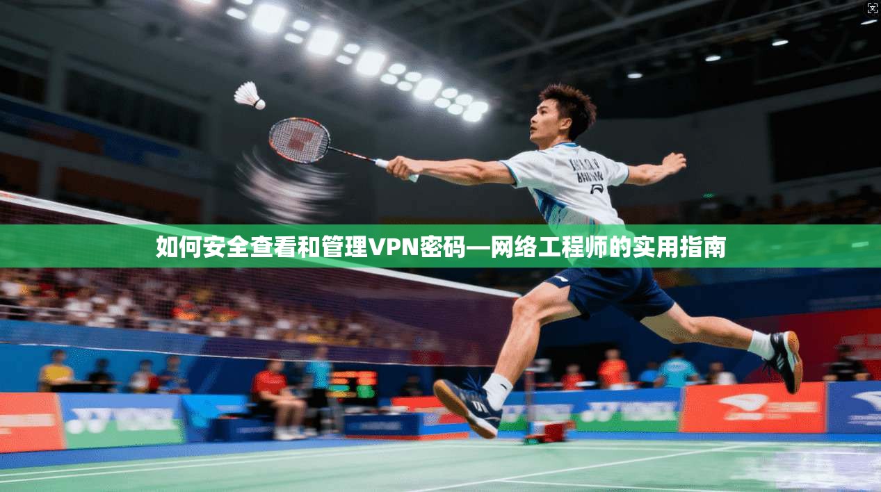 如何安全查看和管理VPN密码—网络工程师的实用指南