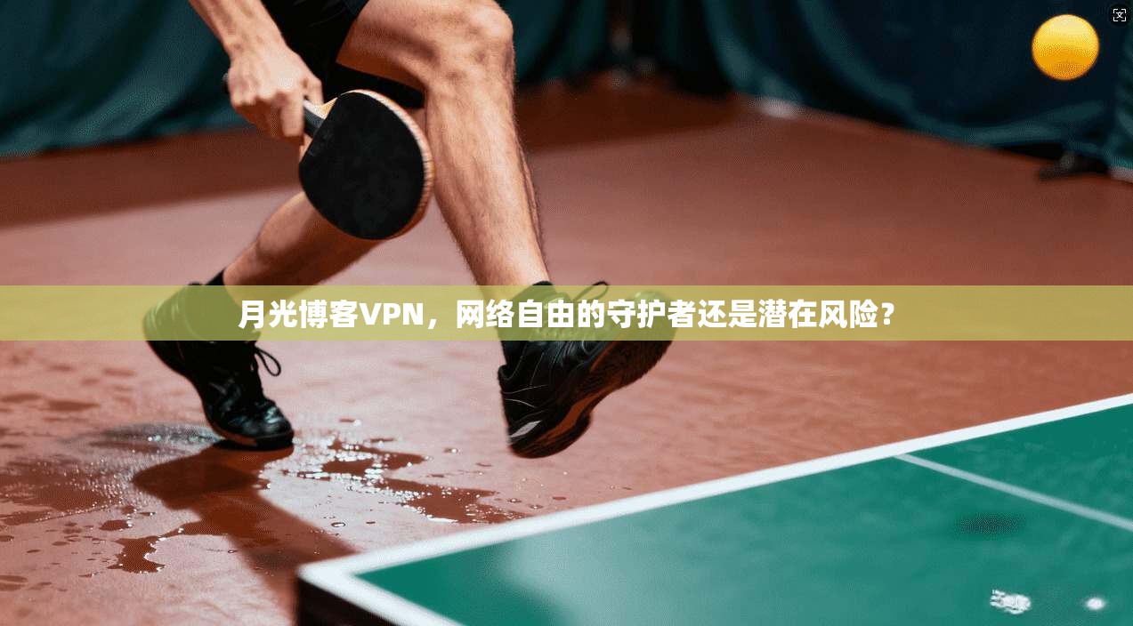 月光博客VPN，网络自由的守护者还是潜在风险？