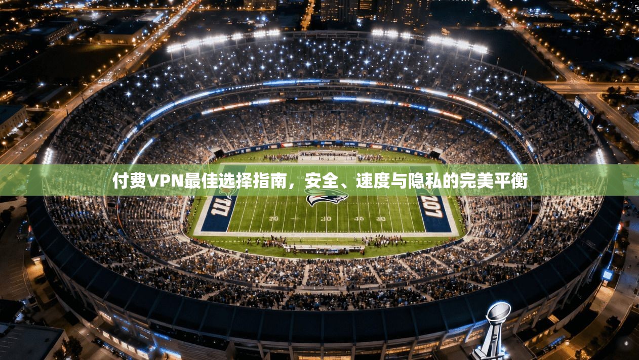 付费VPN最佳选择指南，安全、速度与隐私的完美平衡