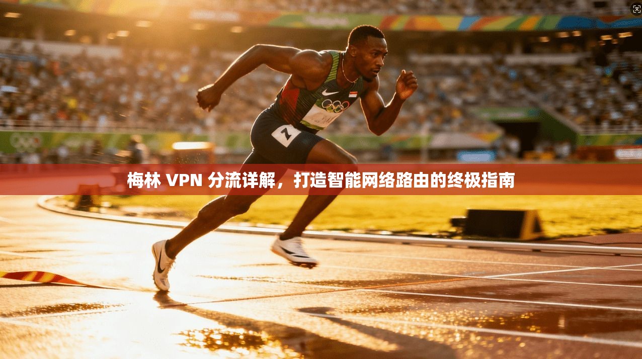 梅林 VPN 分流详解，打造智能网络路由的终极指南
