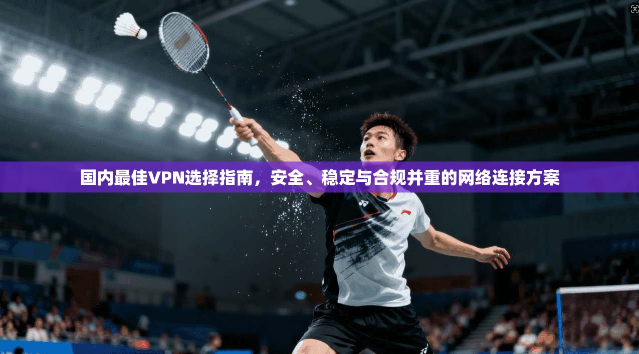 国内最佳VPN选择指南，安全、稳定与合规并重的网络连接方案