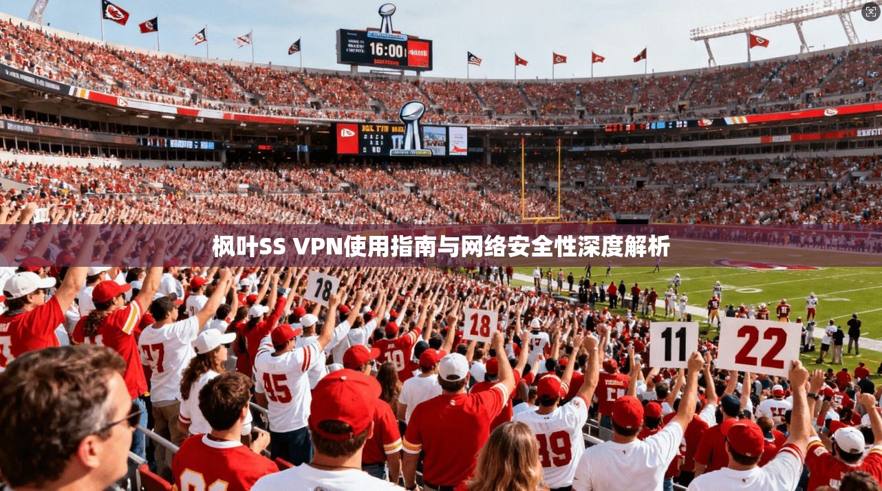 枫叶SS VPN使用指南与网络安全性深度解析
