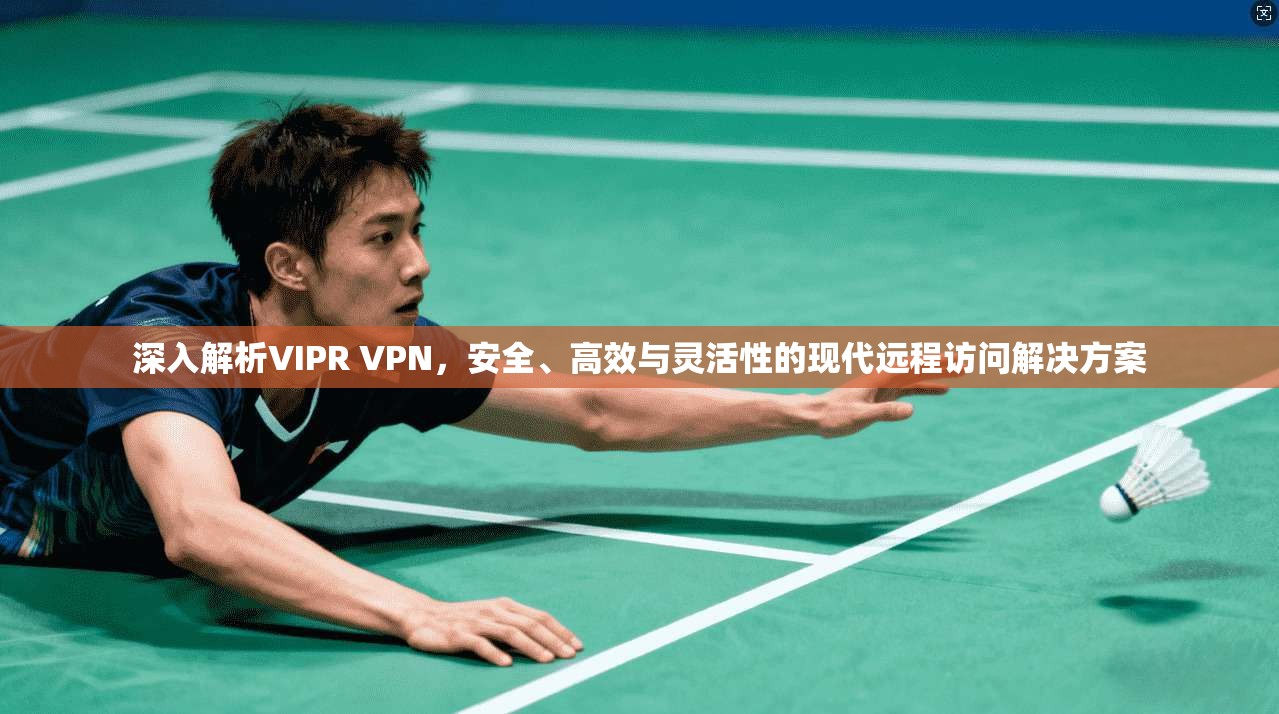 深入解析VIPR VPN，安全、高效与灵活性的现代远程访问解决方案