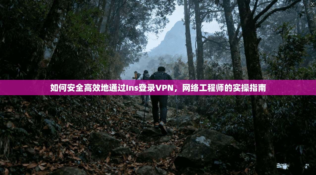 如何安全高效地通过Ins登录VPN，网络工程师的实操指南