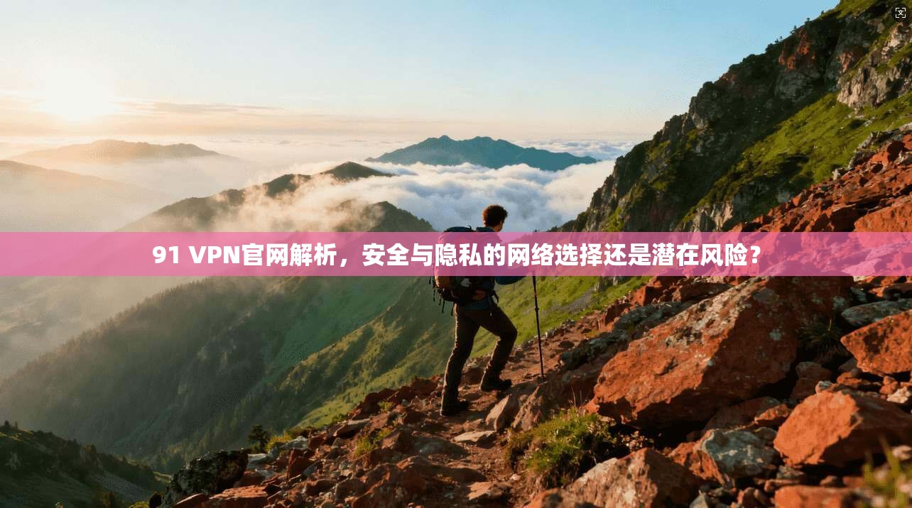 91 VPN官网解析，安全与隐私的网络选择还是潜在风险？
