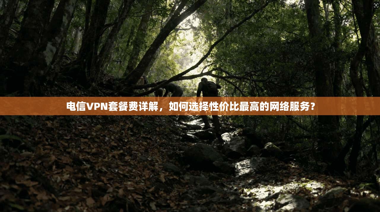 电信VPN套餐费详解，如何选择性价比最高的网络服务？