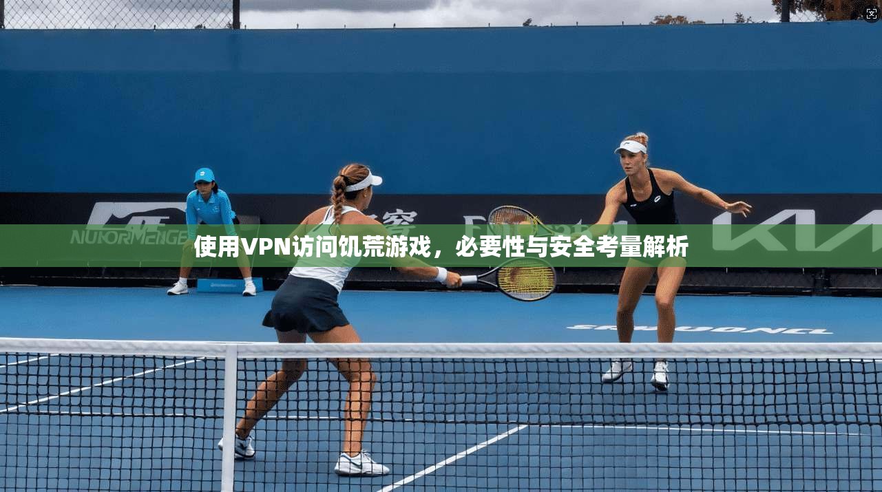 使用VPN访问饥荒游戏，必要性与安全考量解析