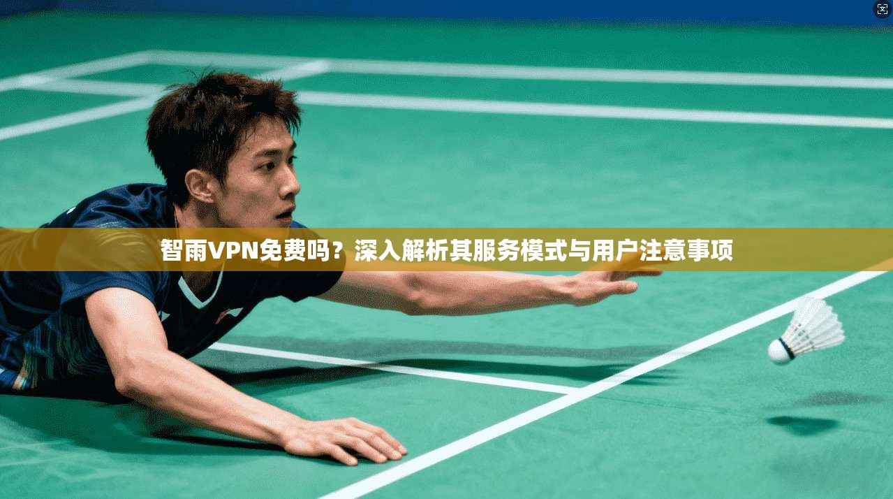 智雨VPN免费吗？深入解析其服务模式与用户注意事项