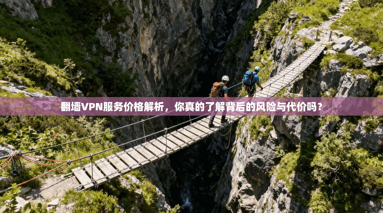 翻墙VPN服务价格解析，你真的了解背后的风险与代价吗？
