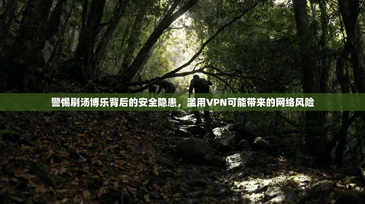 警惕刷汤博乐背后的安全隐患，滥用VPN可能带来的网络风险