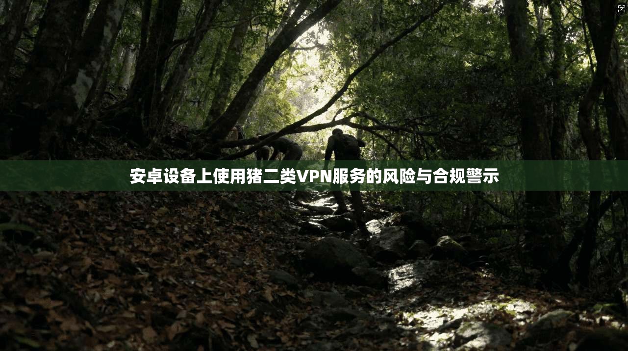 安卓设备上使用猪二类VPN服务的风险与合规警示