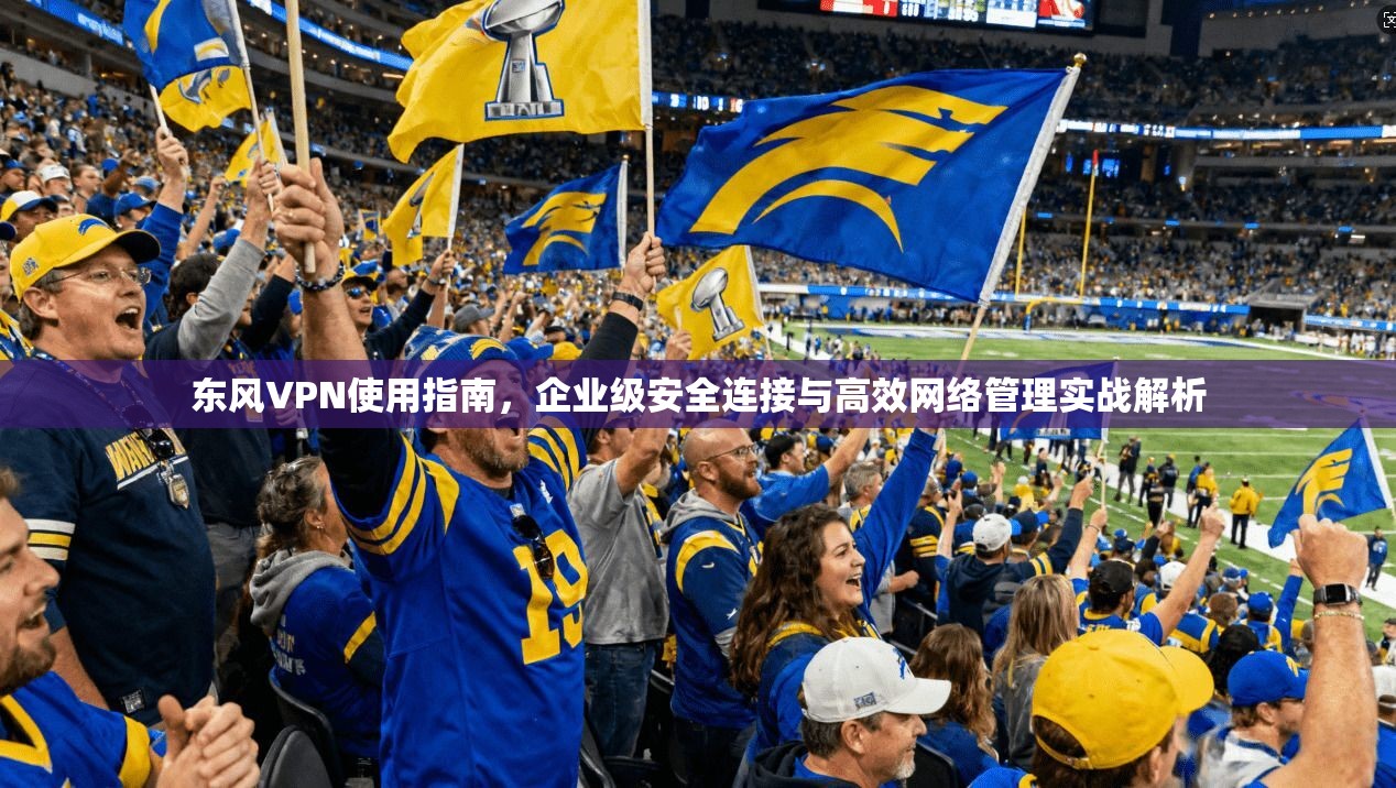 东风VPN使用指南，企业级安全连接与高效网络管理实战解析