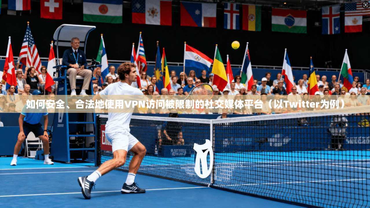如何安全、合法地使用VPN访问被限制的社交媒体平台（以Twitter为例）