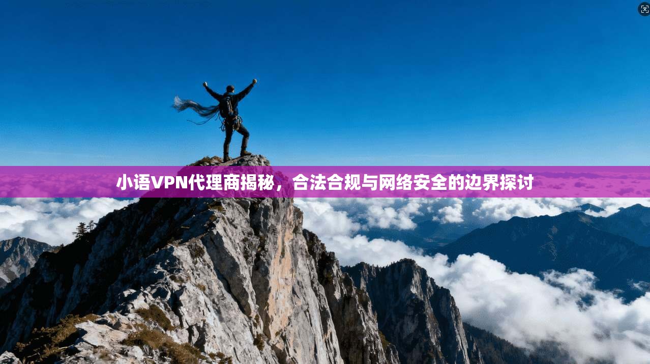 小语VPN代理商揭秘，合法合规与网络安全的边界探讨