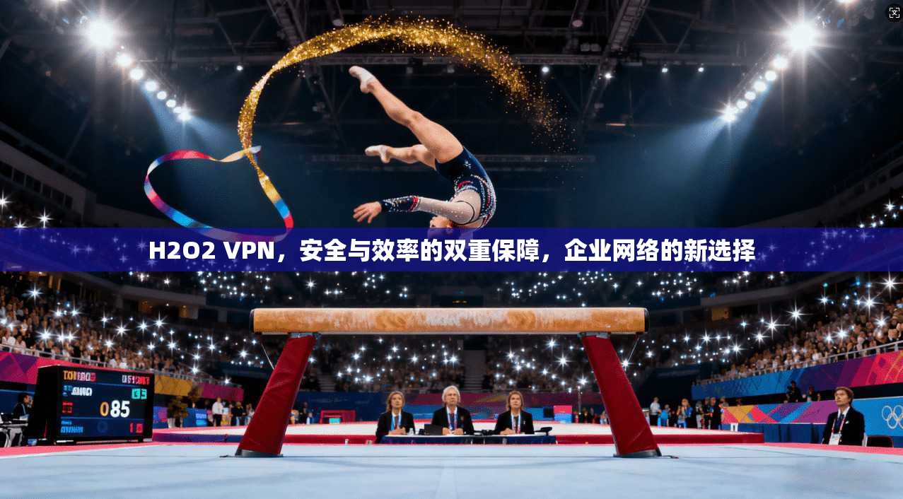 H2O2 VPN，安全与效率的双重保障，企业网络的新选择