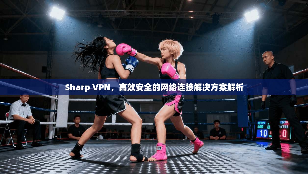 Sharp VPN，高效安全的网络连接解决方案解析