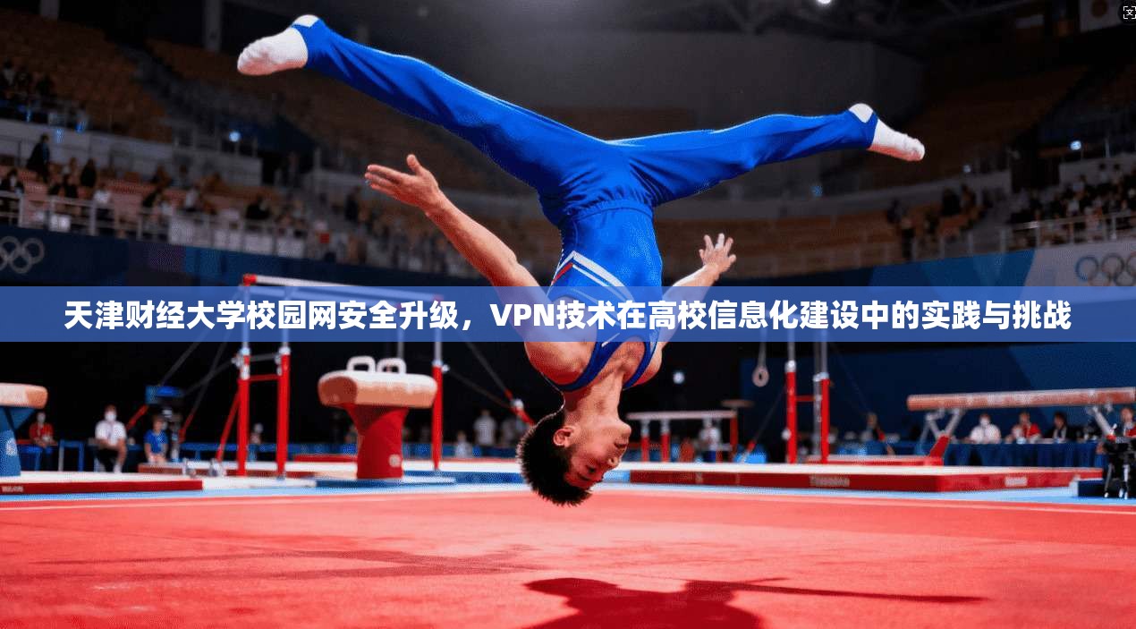 天津财经大学校园网安全升级，VPN技术在高校信息化建设中的实践与挑战