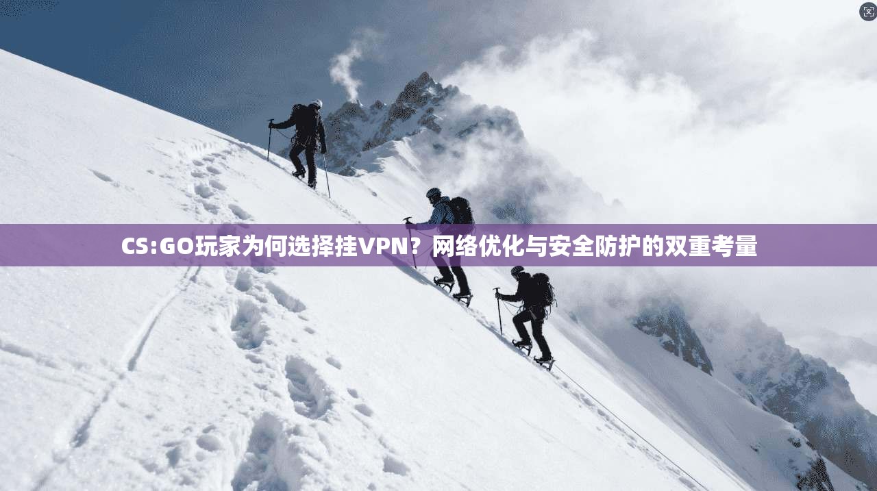 CS:GO玩家为何选择挂VPN？网络优化与安全防护的双重考量