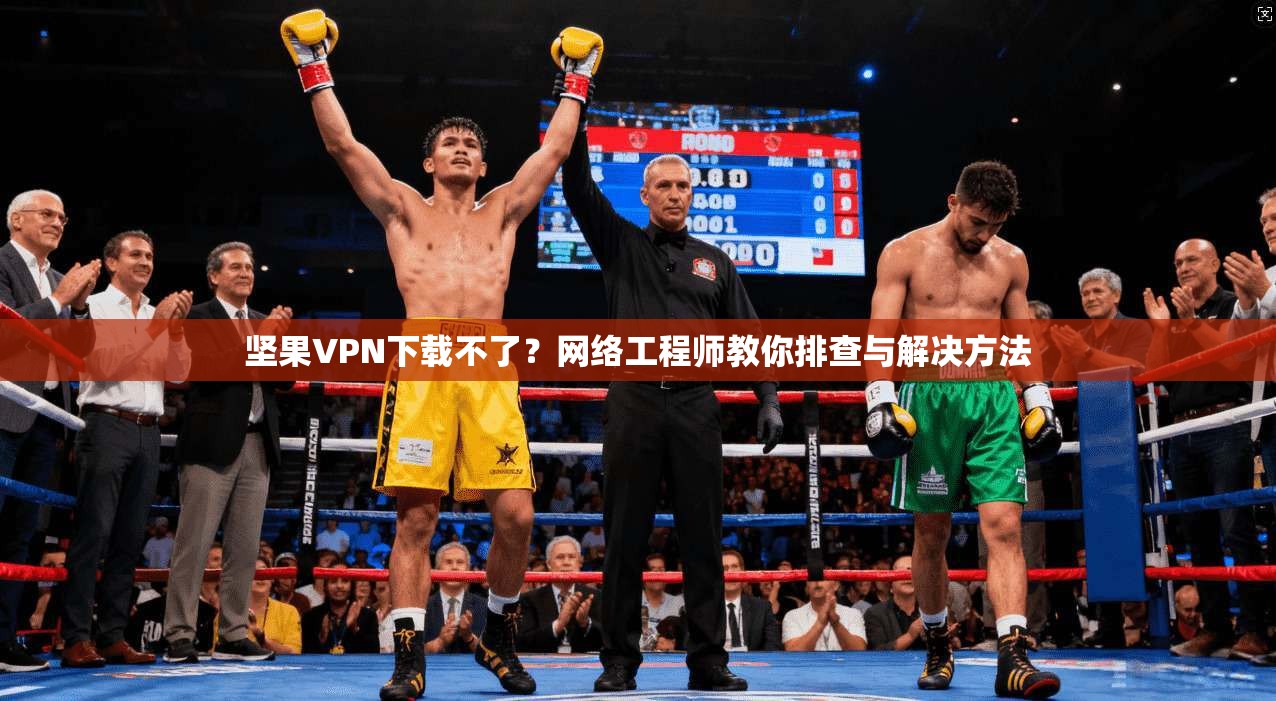 坚果VPN下载不了？网络工程师教你排查与解决方法