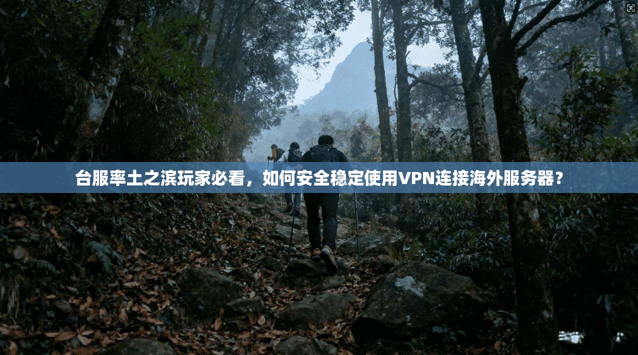 台服率土之滨玩家必看，如何安全稳定使用VPN连接海外服务器？