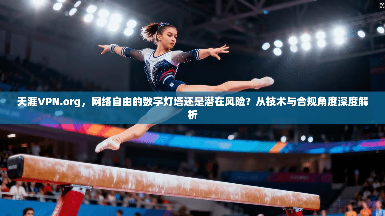 天涯VPN.org，网络自由的数字灯塔还是潜在风险？从技术与合规角度深度解析