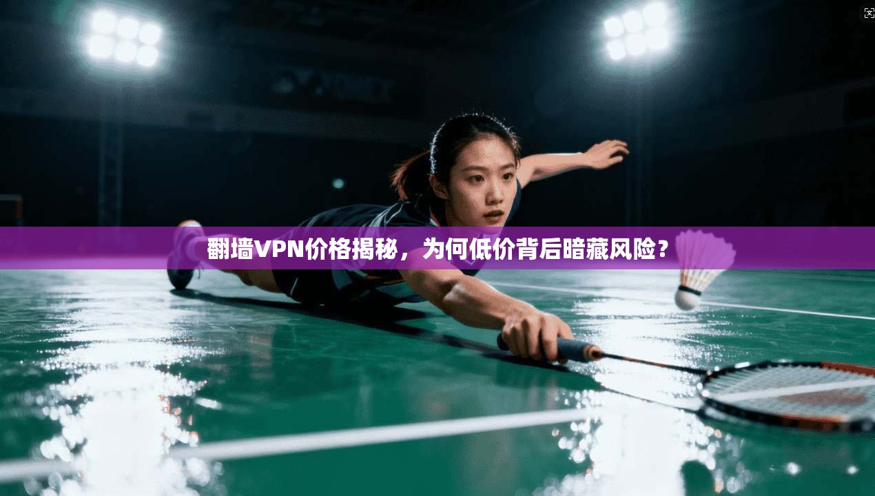 翻墙VPN价格揭秘，为何低价背后暗藏风险？