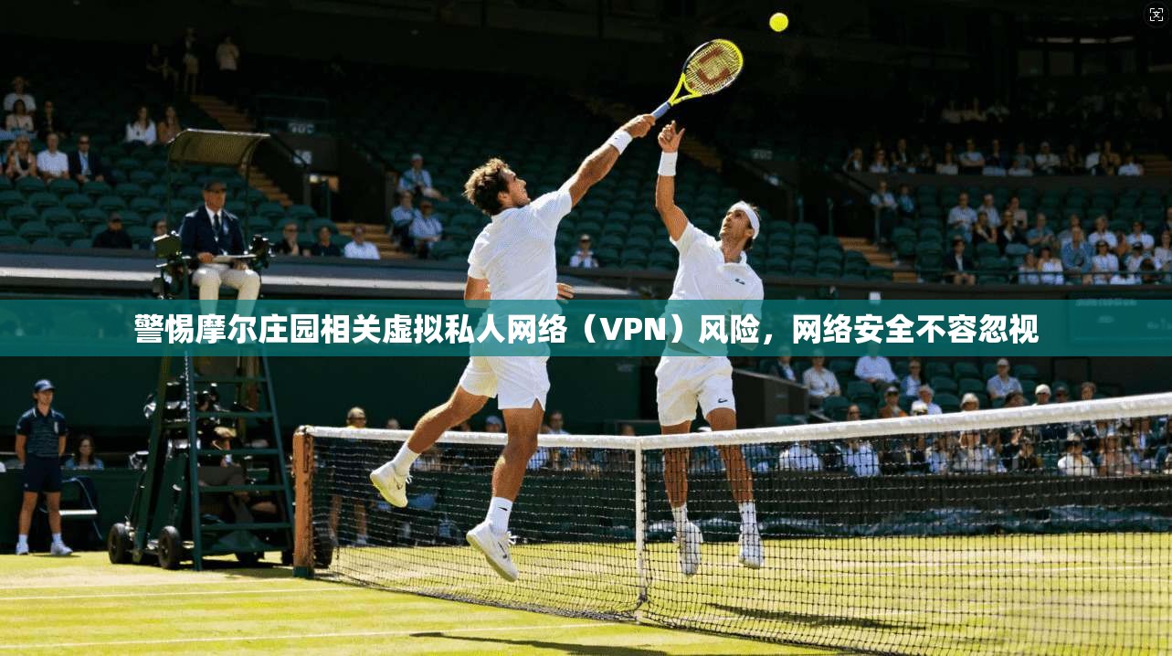 警惕摩尔庄园相关虚拟私人网络（VPN）风险，网络安全不容忽视