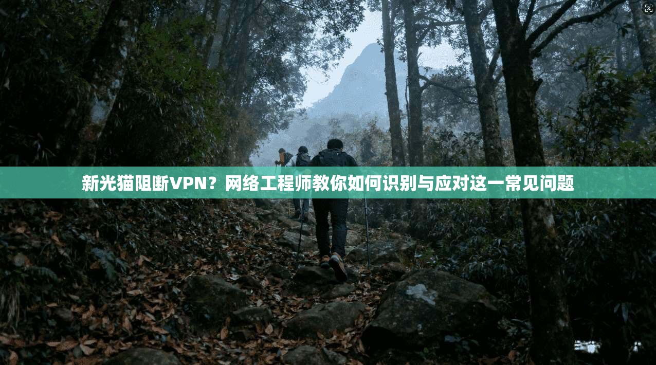 新光猫阻断VPN？网络工程师教你如何识别与应对这一常见问题