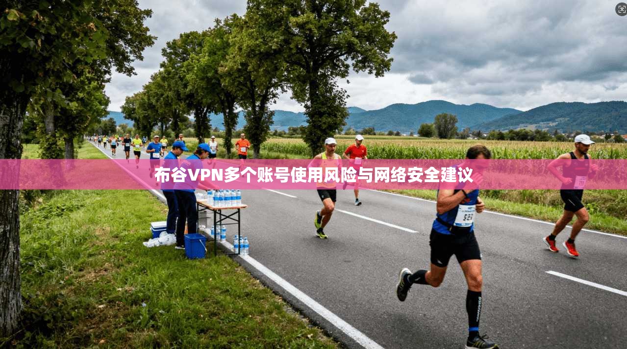 布谷VPN多个账号使用风险与网络安全建议