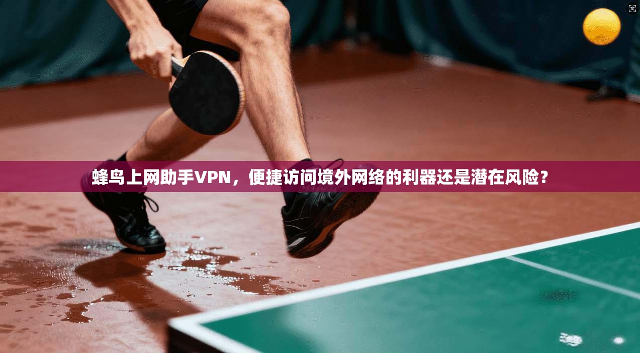 蜂鸟上网助手VPN，便捷访问境外网络的利器还是潜在风险？