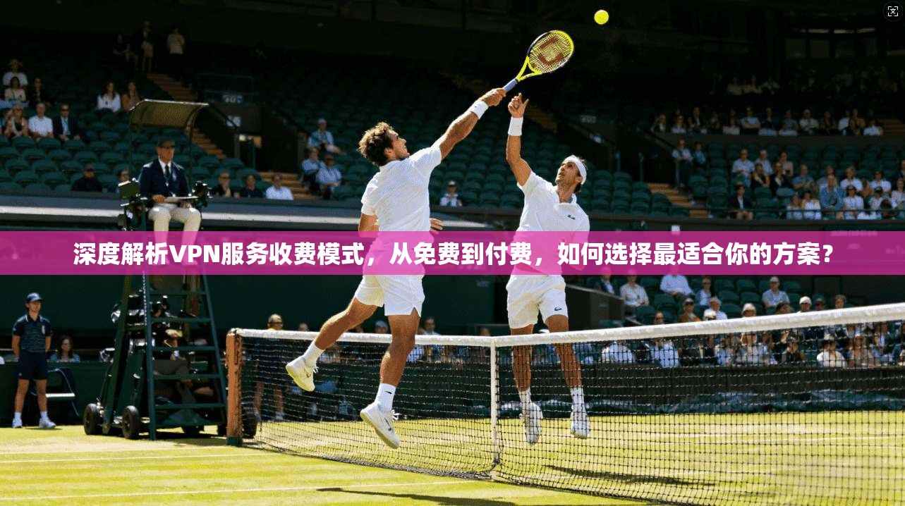 深度解析VPN服务收费模式，从免费到付费，如何选择最适合你的方案？