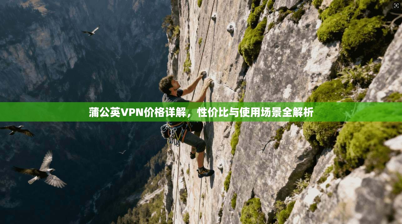 蒲公英VPN价格详解，性价比与使用场景全解析