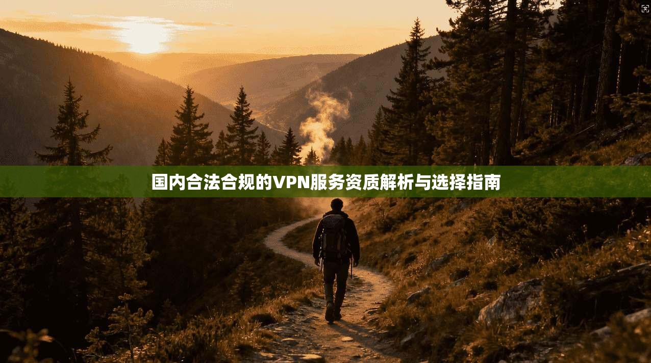 国内合法合规的VPN服务资质解析与选择指南