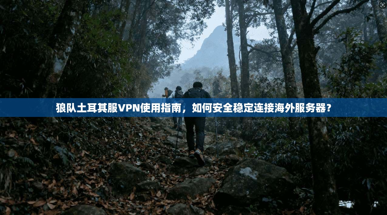 狼队土耳其服VPN使用指南，如何安全稳定连接海外服务器？