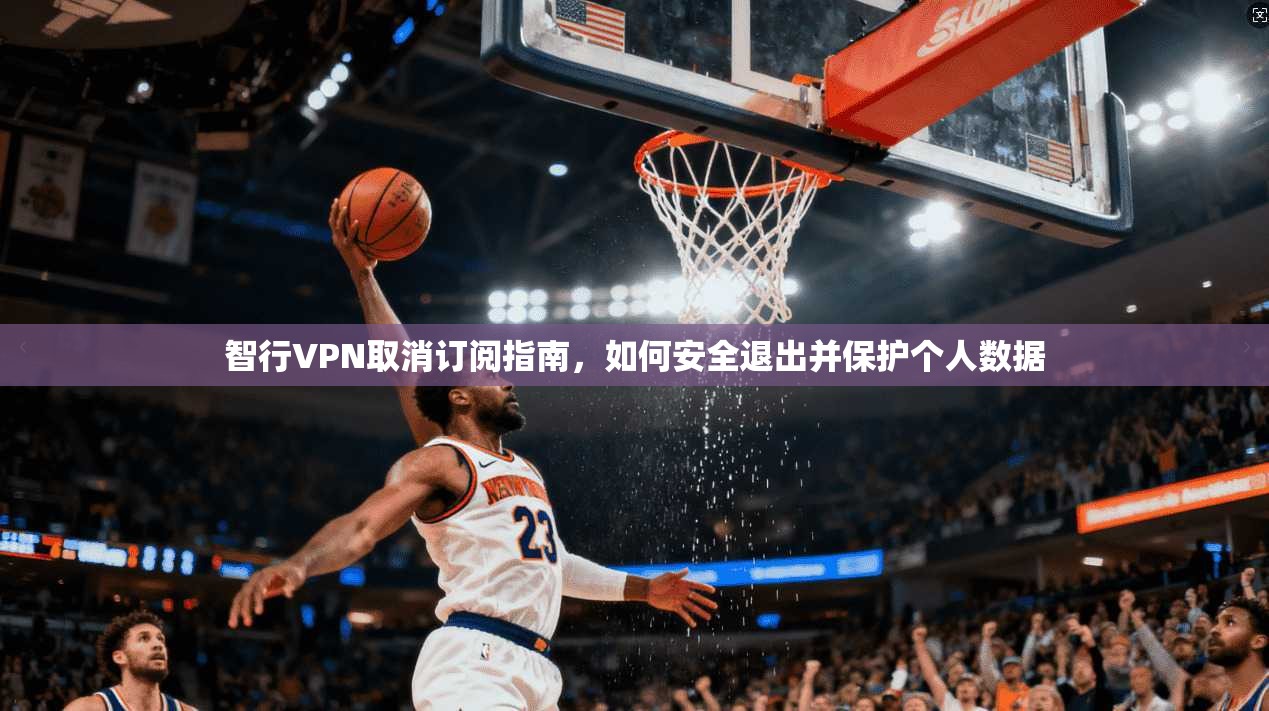 智行VPN取消订阅指南，如何安全退出并保护个人数据
