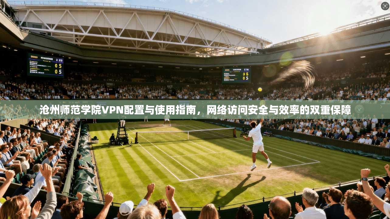 沧州师范学院VPN配置与使用指南，网络访问安全与效率的双重保障