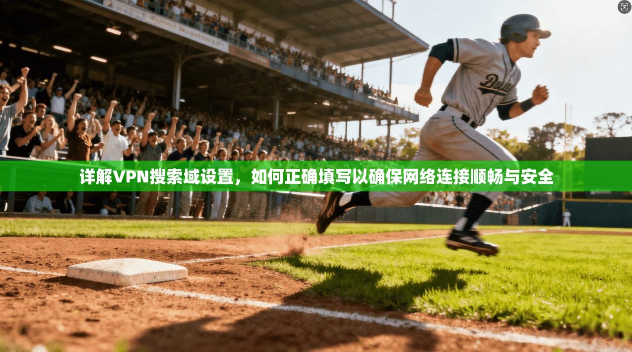 详解VPN搜索域设置，如何正确填写以确保网络连接顺畅与安全