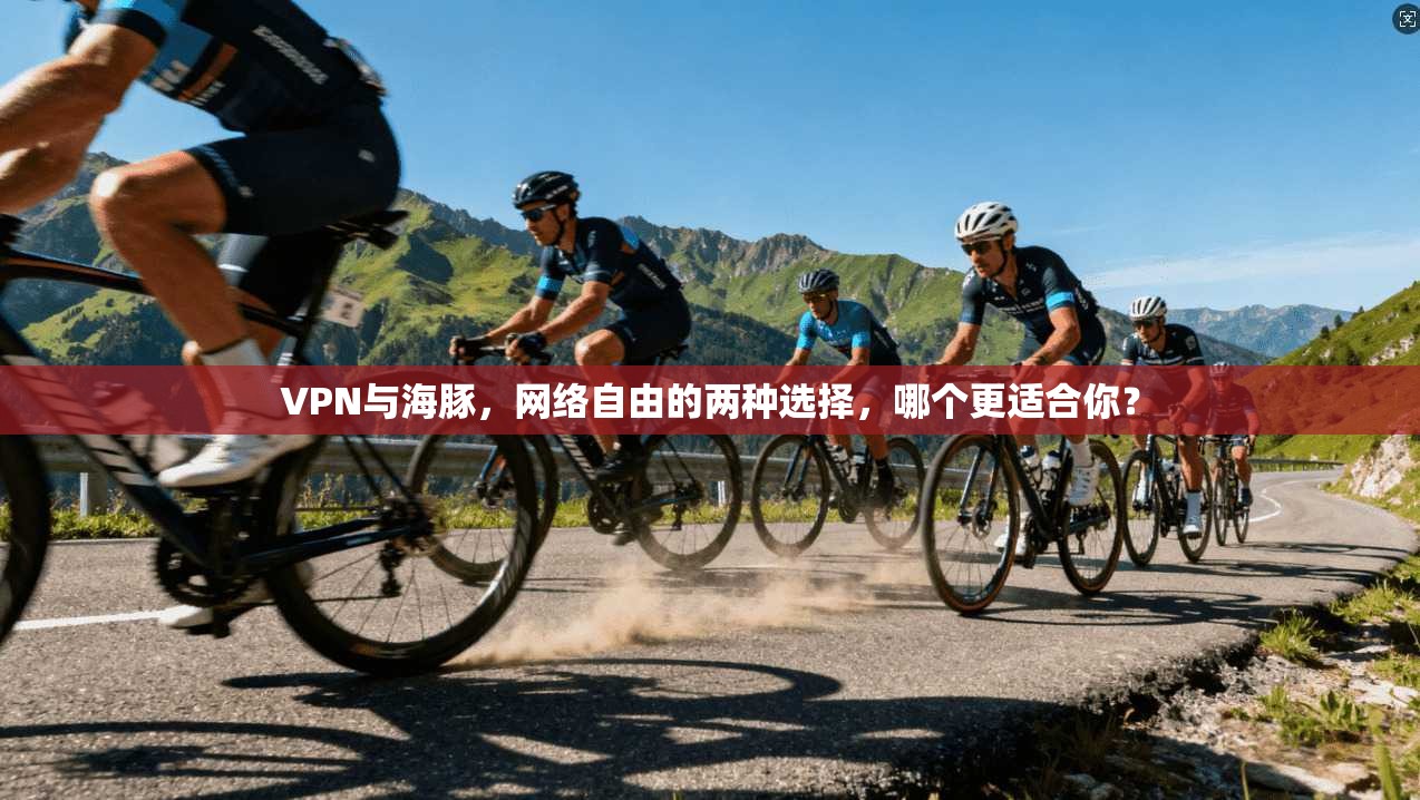 VPN与海豚，网络自由的两种选择，哪个更适合你？