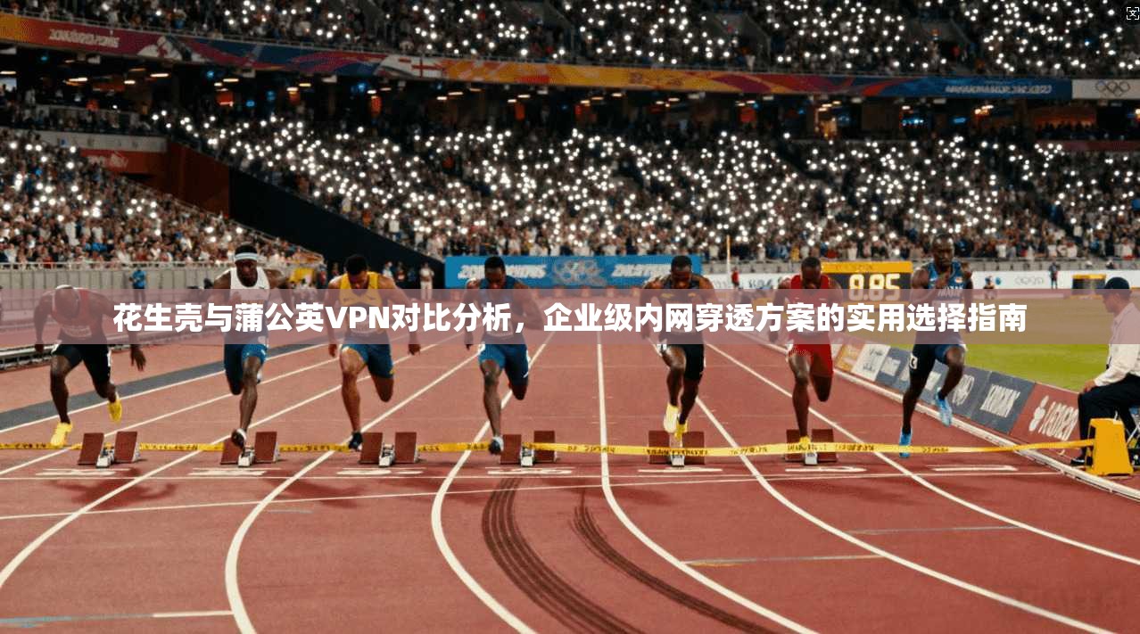 花生壳与蒲公英VPN对比分析，企业级内网穿透方案的实用选择指南