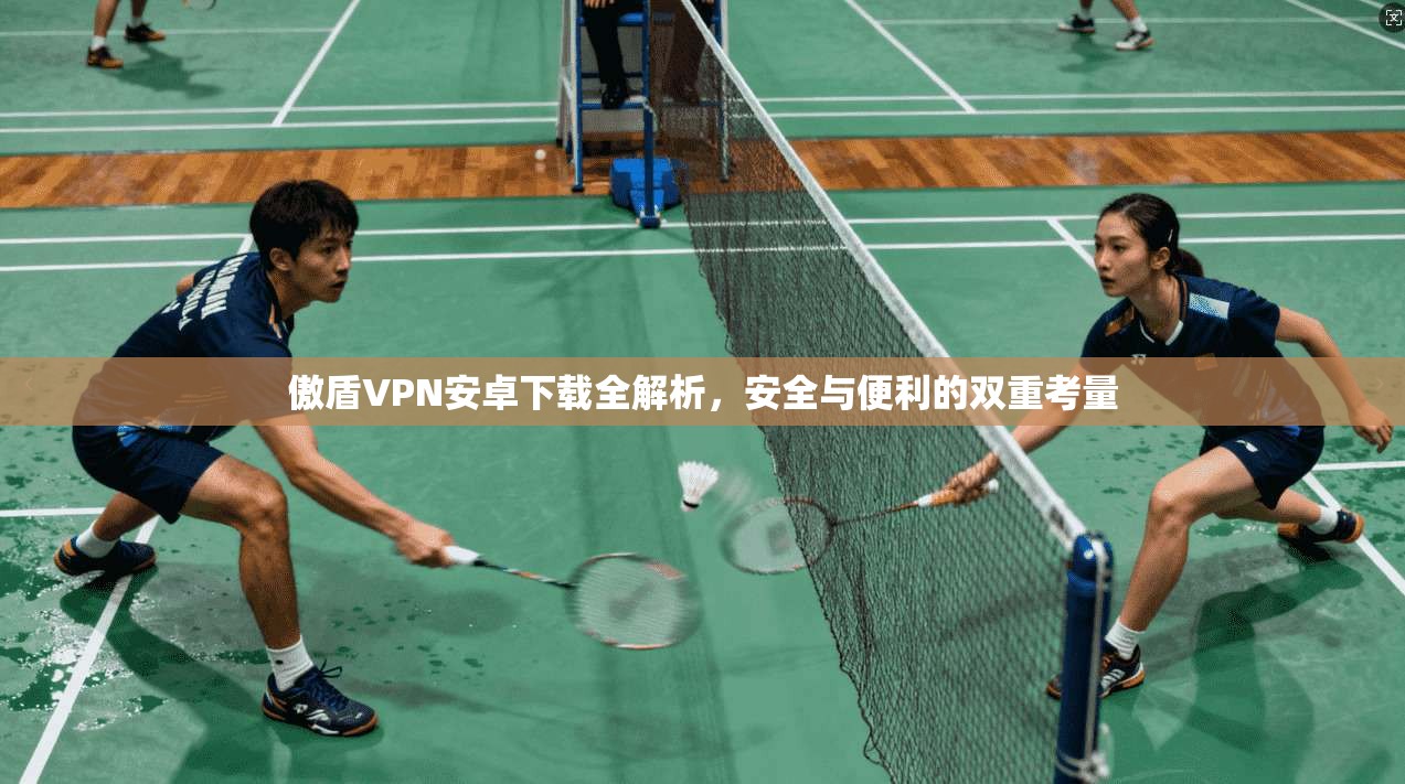 傲盾VPN安卓下载全解析，安全与便利的双重考量