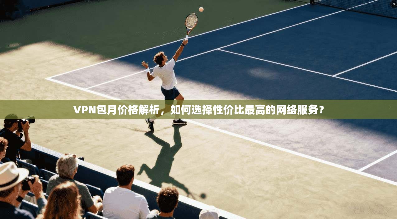 VPN包月价格解析，如何选择性价比最高的网络服务？