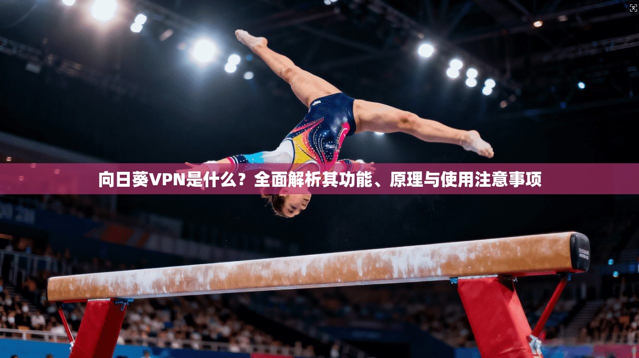 向日葵VPN是什么？全面解析其功能、原理与使用注意事项