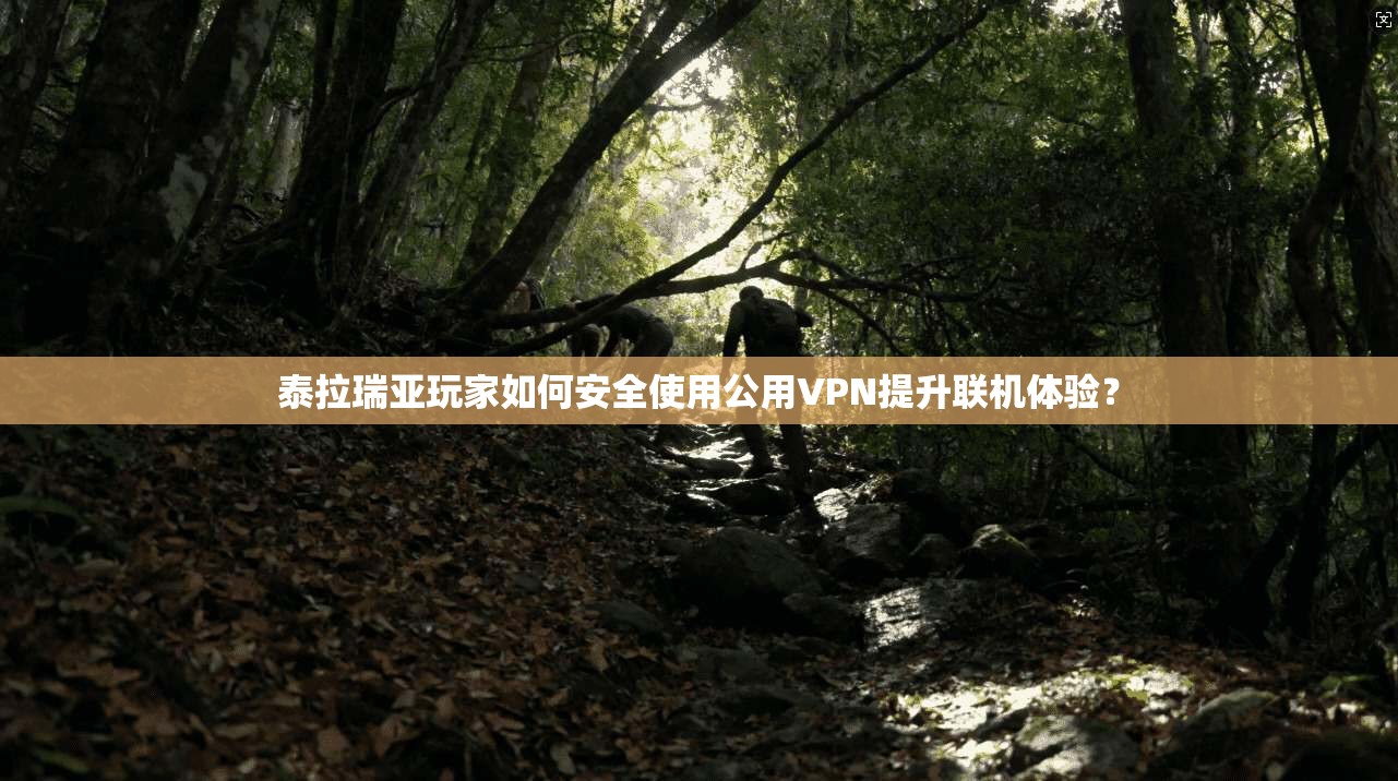 泰拉瑞亚玩家如何安全使用公用VPN提升联机体验？